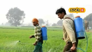 Farmer Scheme: शेतकऱ्यांसाठी फायद्याची योजना, अर्ध्या किमतीत मिळतेय कामाची वस्तू, लगेच करा अर्ज Farmer Scheme: शेतकऱ्यांसाठी फायद्याची योजना, अर्ध्या किमतीत मिळतेय कामाची वस्तू, लगेच करा अर्ज