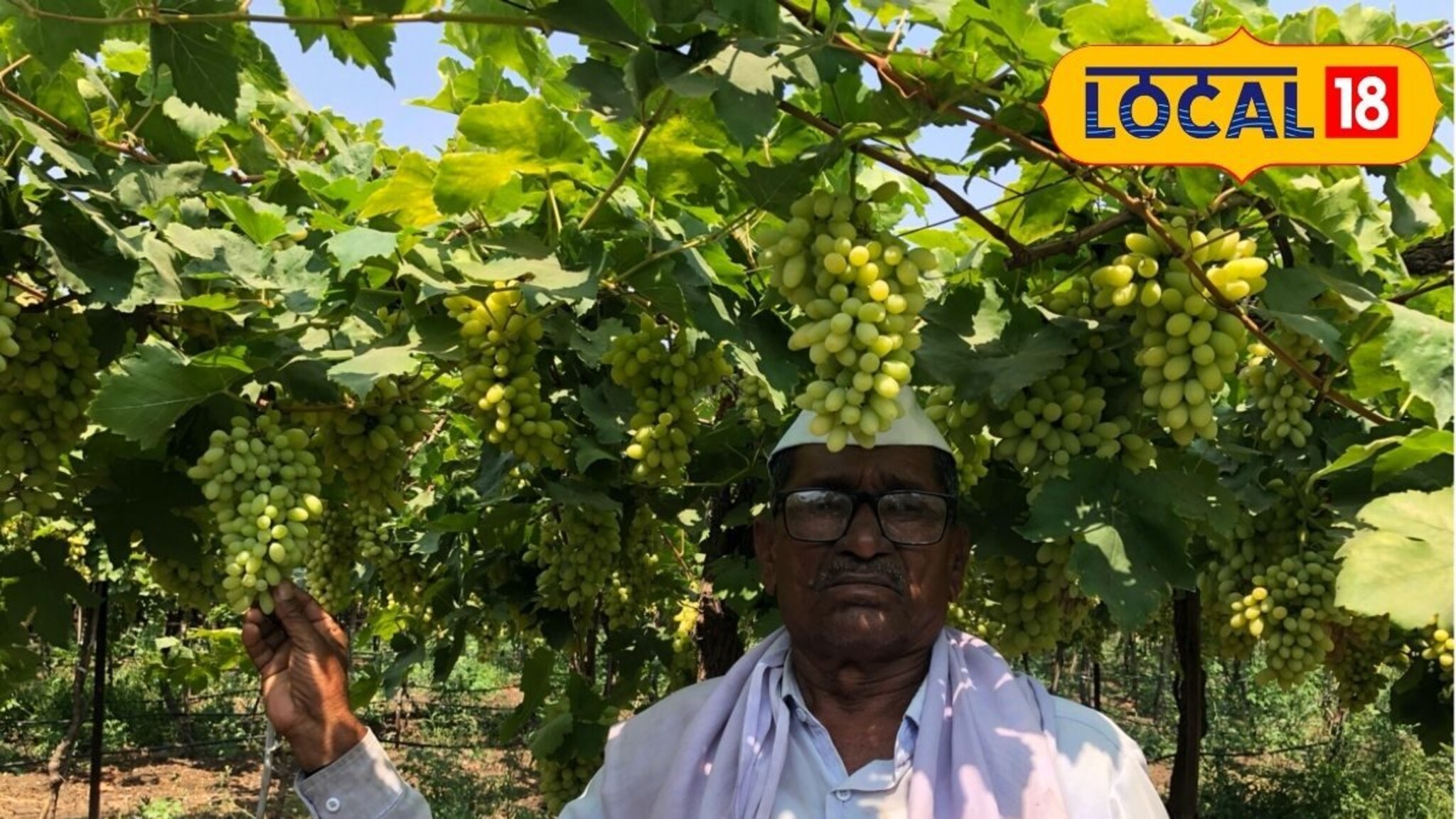 सालगडी म्हणून शेतात काम, मग केली पैशांची शेती, आता 3 एकरात 10 लाखांचं उत्पन्न