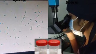 प्रतिकात्मक फोटो