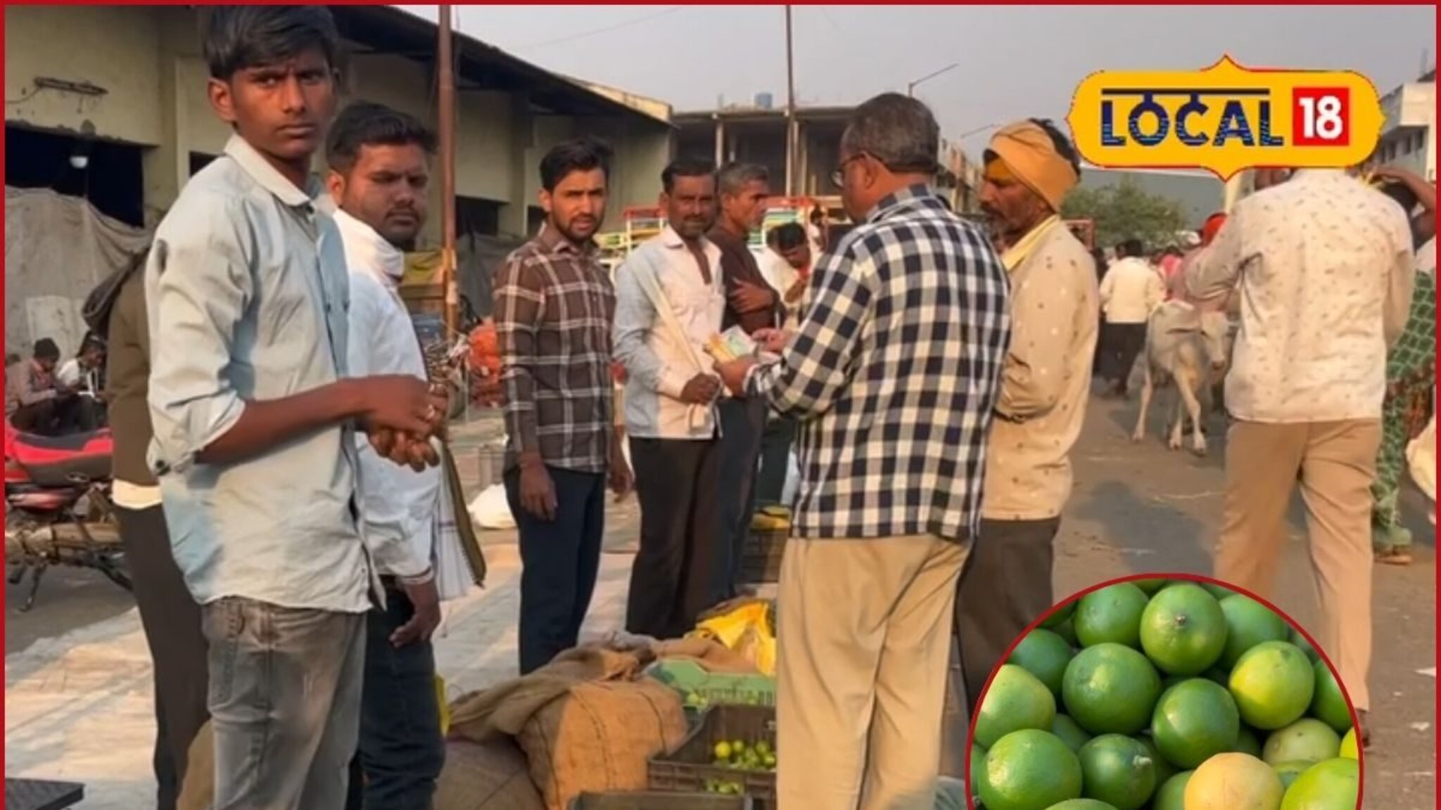 चिकनपेक्षा लिंबू महाग! किलोला किती मोजावे लागतायेत पैसे, पाहा आजचे बाजारभाव
