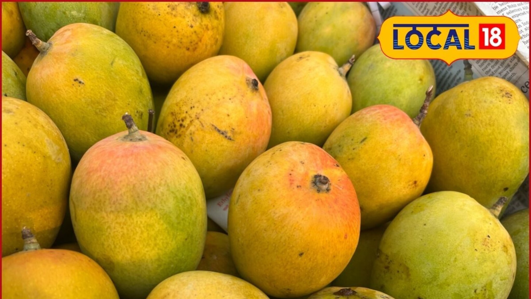 Mango Rate: फळांचा राजा बाजारात दाखल, पाडव्याच्या मुहूर्तावर किती मिळतोय दर?