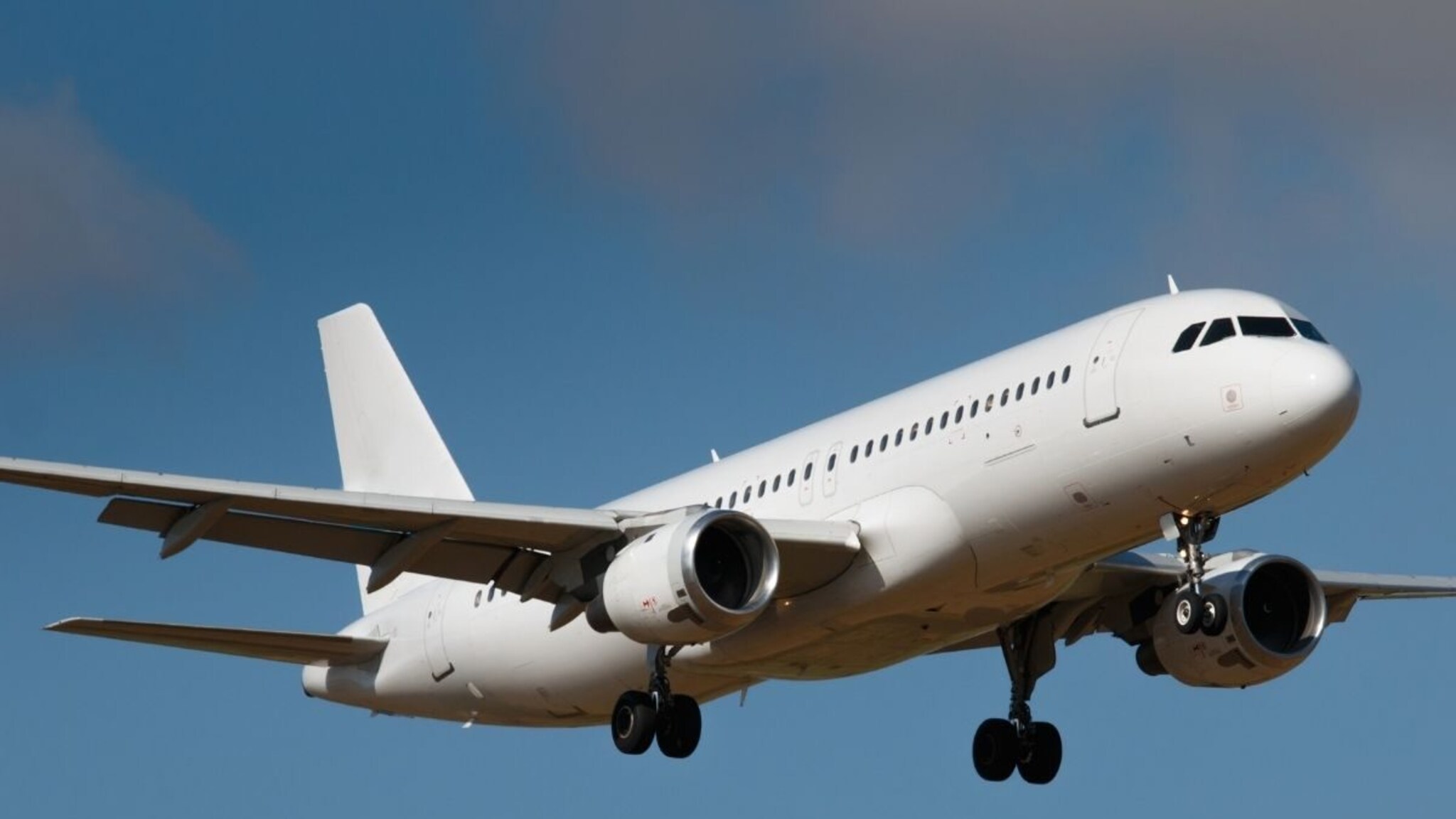 जगातील एकमेव व्यक्ती जिला कोणत्याच देशात जाण्यासाठी पासपोर्ट, व्हिसा लागत नाही