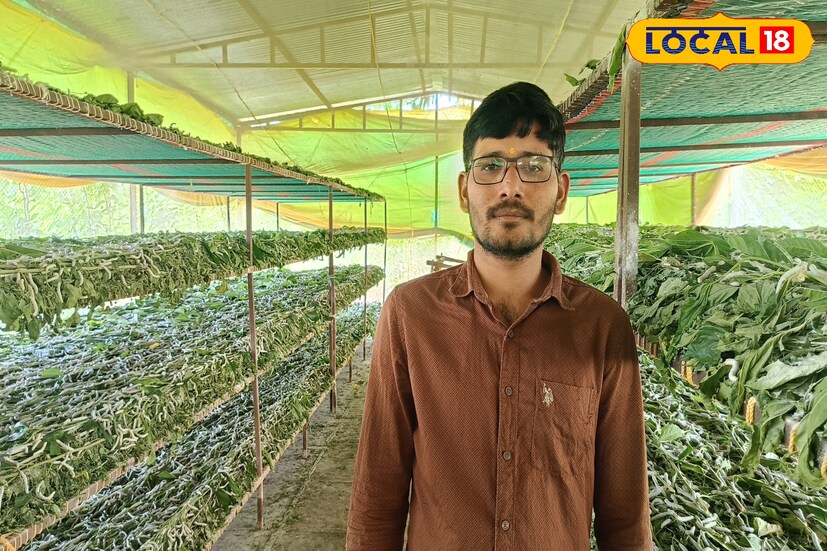 बीड जिल्ह्यातील गावंदरा येथील युवक शेतकरी रामप्रभू बडे हे ऊस, कापूस, बाजरी आणि इतर पारंपरिक पिकांची लागवड करत होते. सतत बदलणारे हवामान, मजुरीचा वाढता खर्च आणि बाजारातील अनिश्चितता यामुळे पारंपरिक शेतीतून अपेक्षित उत्पन्न मिळत नव्हते. त्यामुळे त्यांनी नवा पर्याय शोधला आणि रेशीम शेतीकडे वळण्याचा महत्त्वाचा निर्णय घेतला.