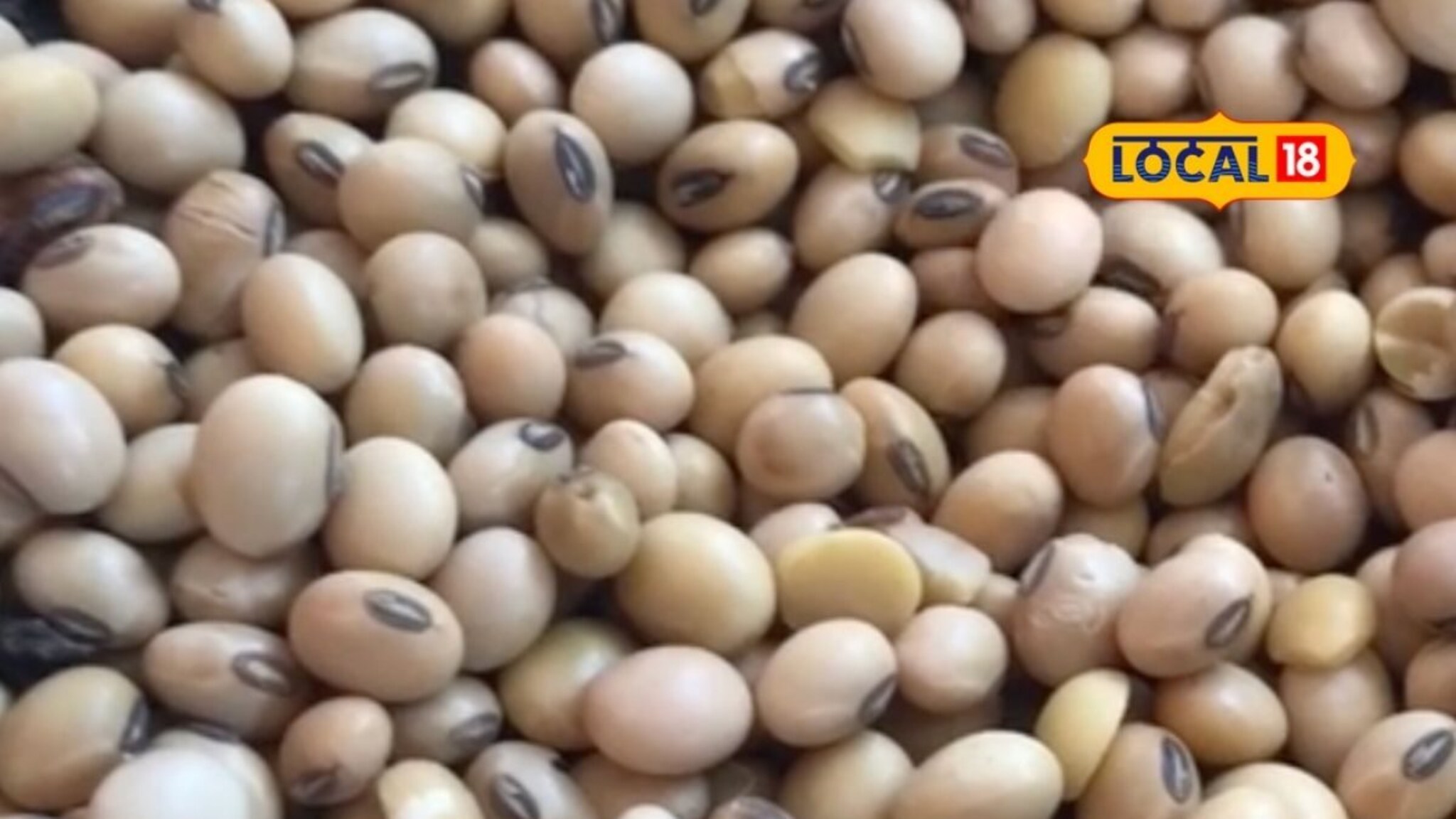 बाजारात भाव नाही अन् नाफेड केंद्रावर विक्री नाही, सोयबीनचं करायचं काय?