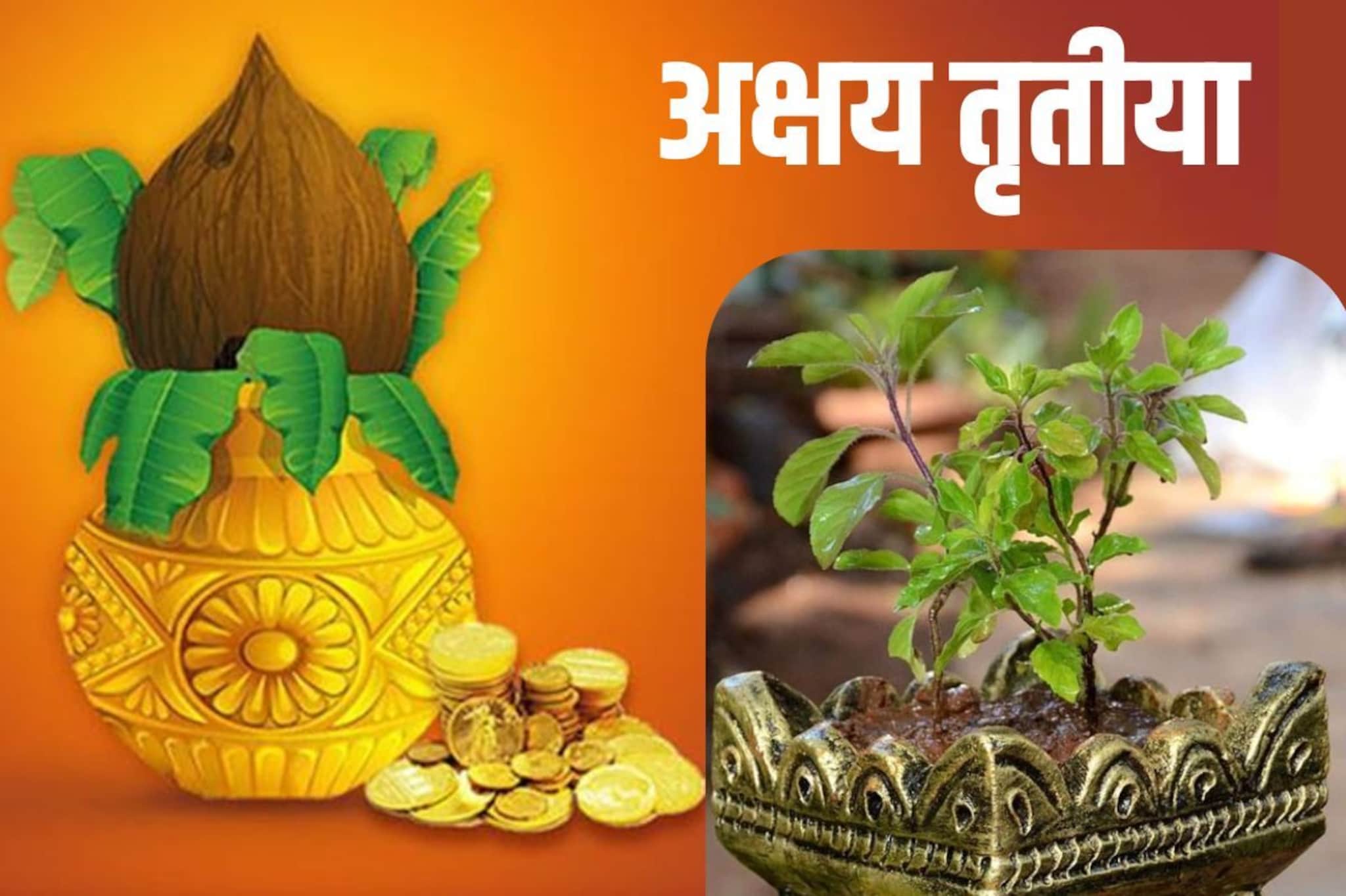 अक्षय तृतियेला तुळशीच्या पूजेला विशेष महत्त्व! सोनं, धन-वैभव मिळतं, यश प्राप्ती