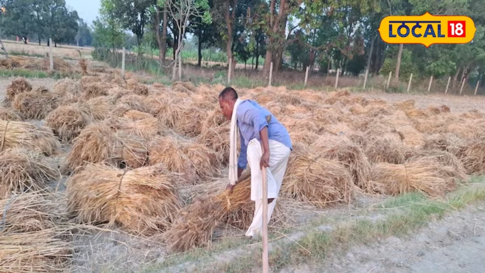 जिद्द अन् मेहनत अफाट! दिव्यांग असूनही मानली नाही हार, 35 वर्षे एका पायावर केली शेती, आता...