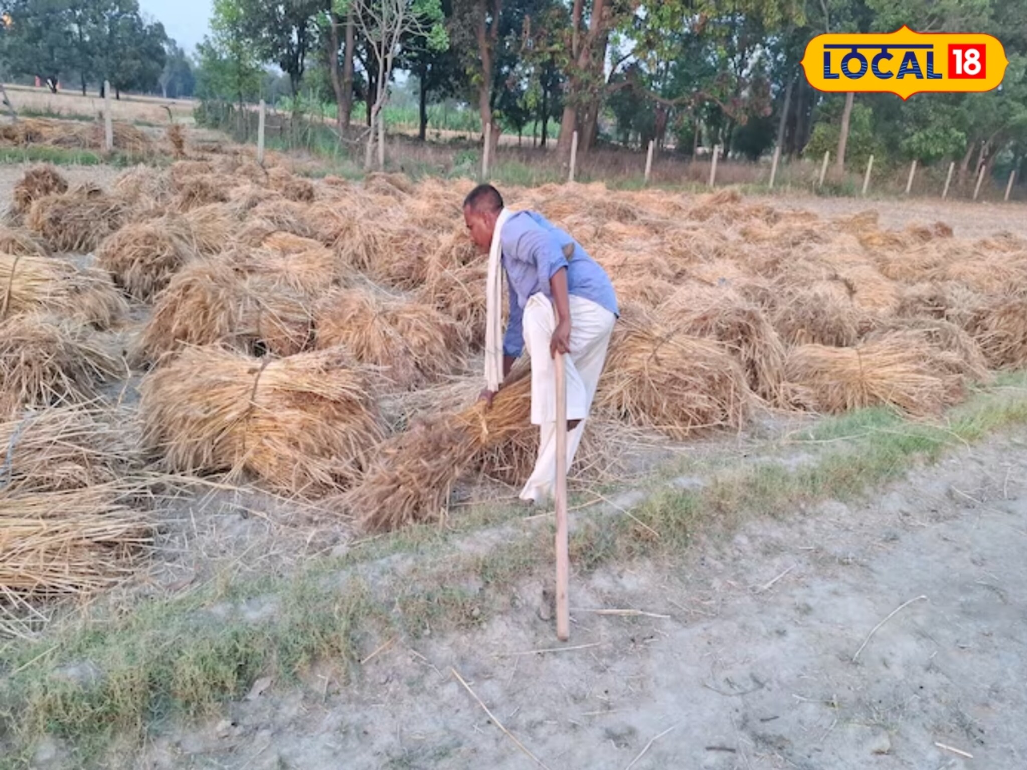 जिद्द अन् मेहनत अफाट! दिव्यांग असूनही मानली नाही हार, 35 वर्षे एका पायावर केली शेती, आता...