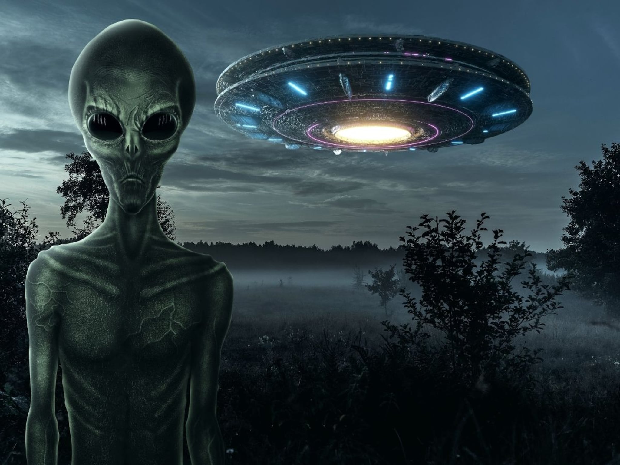 बापरे! एलियन पृथ्वीवर आला? अंतराळातून आलेल्या रहस्यमयी दगडातून बाहेर पडला जीव, उडाली खळबळ