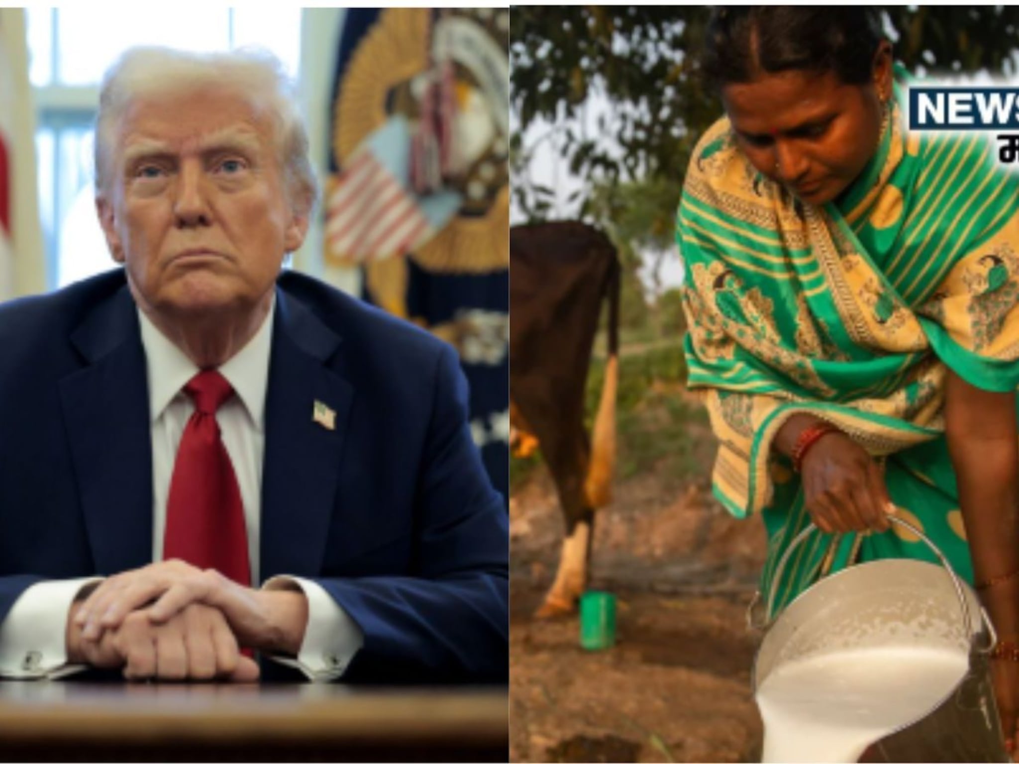 अमेरिकेच्या निर्णयाने भारतातील दूधव्यावसाय धोक्यात येणार! तज्ज्ञांचे मत काय?