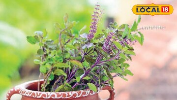 उन्हाळ्यात