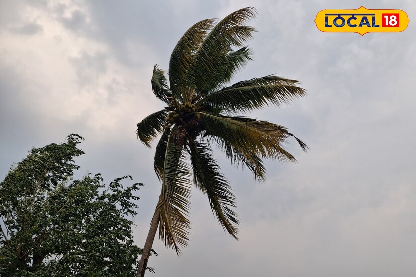 विदर्भातील 8 जिल्ह्यांत आज पावसाची शक्यता असून हवामान विभागाने यलो अलर्ट दिला आहे. पुढील 24 तांसातील विदर्भातील हवामान आणि तापमान स्थितीबाबत जाणून घेऊ. 
