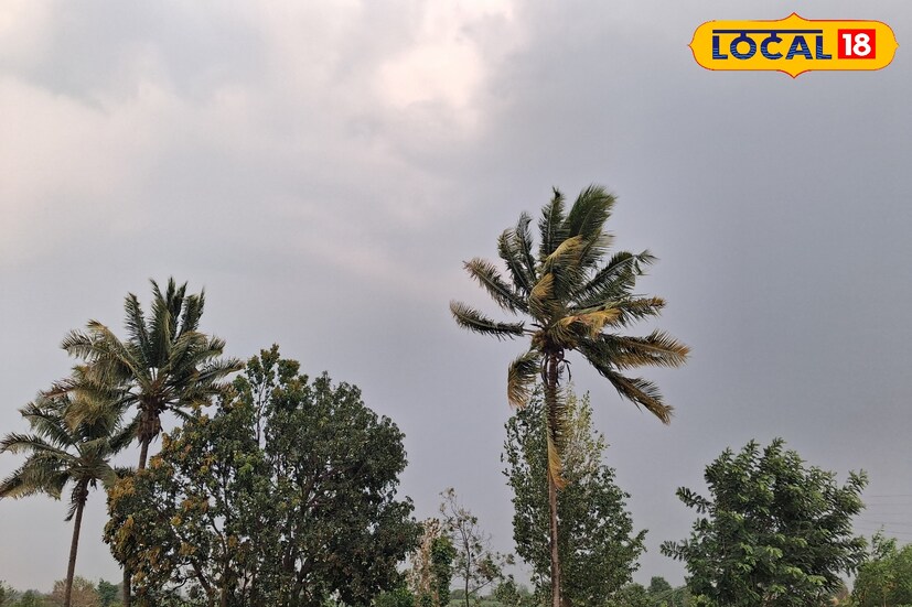 सांगली जिल्हामध्ये उन्हाचा चटका चांगलाच वाढला आहे. पुढील 24 तासात कमाल तापमान 39 अंश सेल्सिअस राहिल तर किमान तापमान 23 अंश सेल्सिअस इतके असेल. जिल्ह्याच्या तापमानात आज बदल जाणवत असून आकाश अंशतः ढगाळ राहून गडगडाची पावसाचा अंदाज हवामान विभागाकडून वर्तवण्यात आला आहे. सांगली जिल्ह्यात विजांसह पावसाचा येलो अलर्ट देण्यात आला आहे.