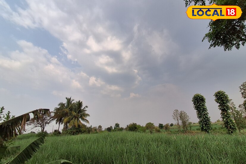 राज्यात पावसाला पोषक हवामान असले तरी उन्हाचा चटका वाढू लागला आहे. काही जिल्ह्यांना उष्णतेचा तर काही ठिकाणी अवकाळी पाऊस अन् गारपिटीचा अलर्ट देण्यात आला आहे. पश्चिम महाराष्ट्रातील हवामान आणि तापमान स्थितीबाबत जाणून घेऊ. 