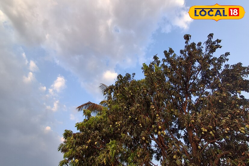 पश्चिम महाराष्ट्रात उष्णतेचा पारा पुन्हा चढणार आहे. त्यामुळे बहुतांश जिल्ह्यांत तापमान चाळीशी पारच राहणार आहे. साताऱ्यात गुरुवारी 40.7 अंश सेल्सिअस तापमानाची नोंद झाली. पुढील 24 तासांत कमाल तापमान 41 अंश तर किमान तापमान 22 अंश सेल्सिअस राहील. 