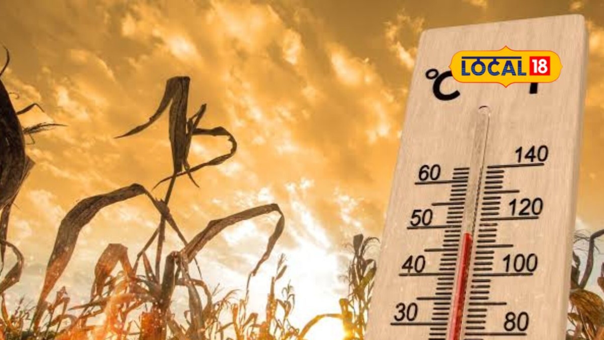 आता घरातच थांबलेलं बरं! सूर्य आग ओकणार, पश्चिम महाराष्ट्राला 24 तासांसाठी अलर्ट