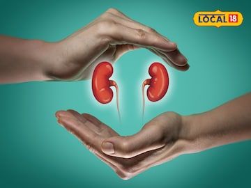 summer diet to prevent kidney stones summer diet to prevent kidney stones
