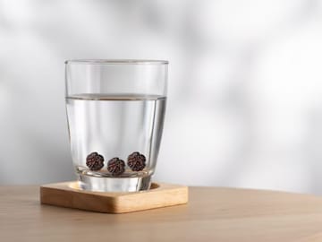 Benefits of Rudraksha Water Benefits of Rudraksha Water