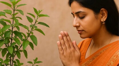 Tulsi puja rules