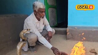 How to Remove Snakes Naturally How to Remove Snakes Naturally