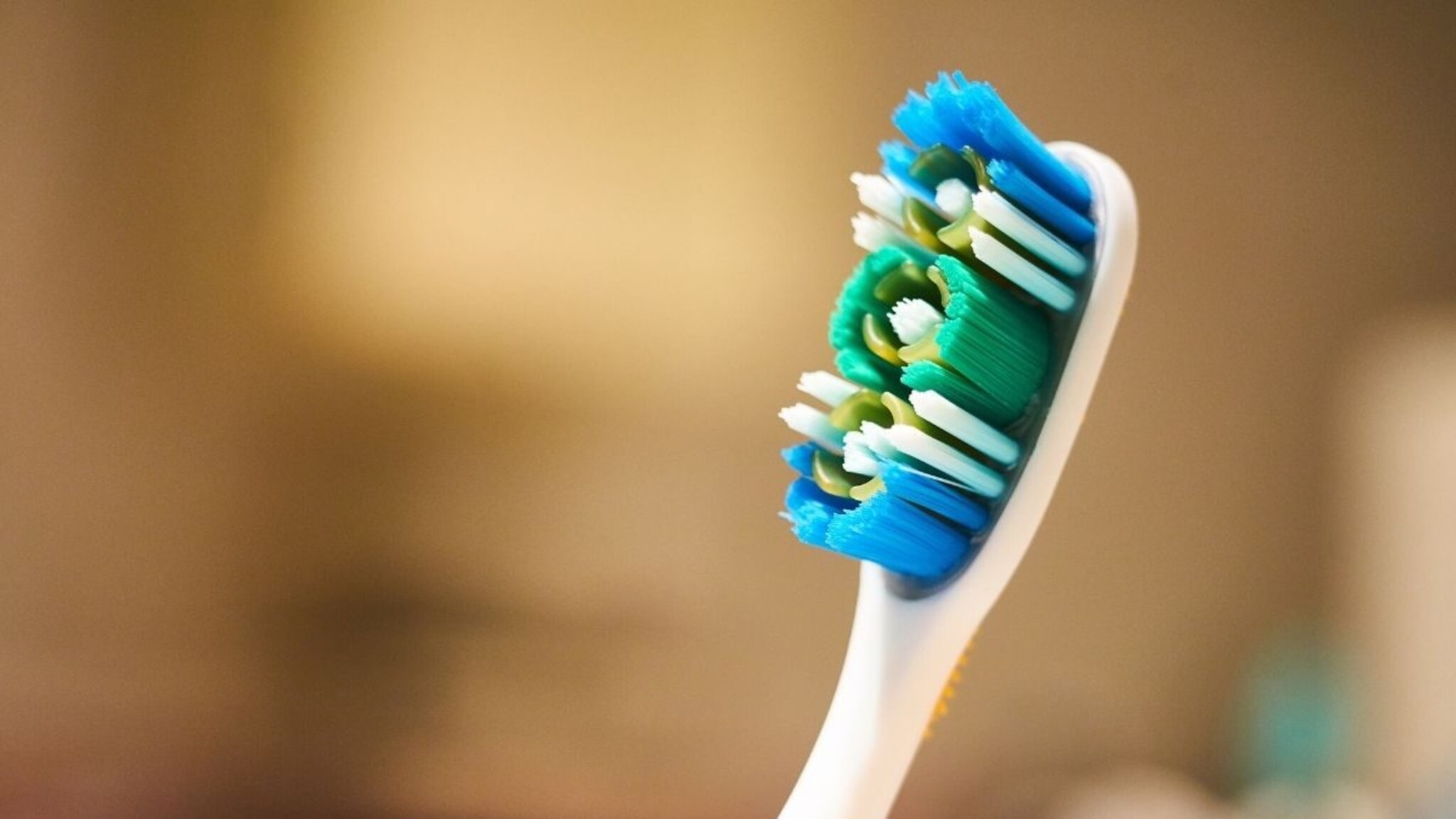 Hotel Facts : हॉटेल रूममध्ये टूथब्रश बाथरूम नाही तिजोरीत ठेवा, विचित्र सल्ला, पण कारण शॉकिंग