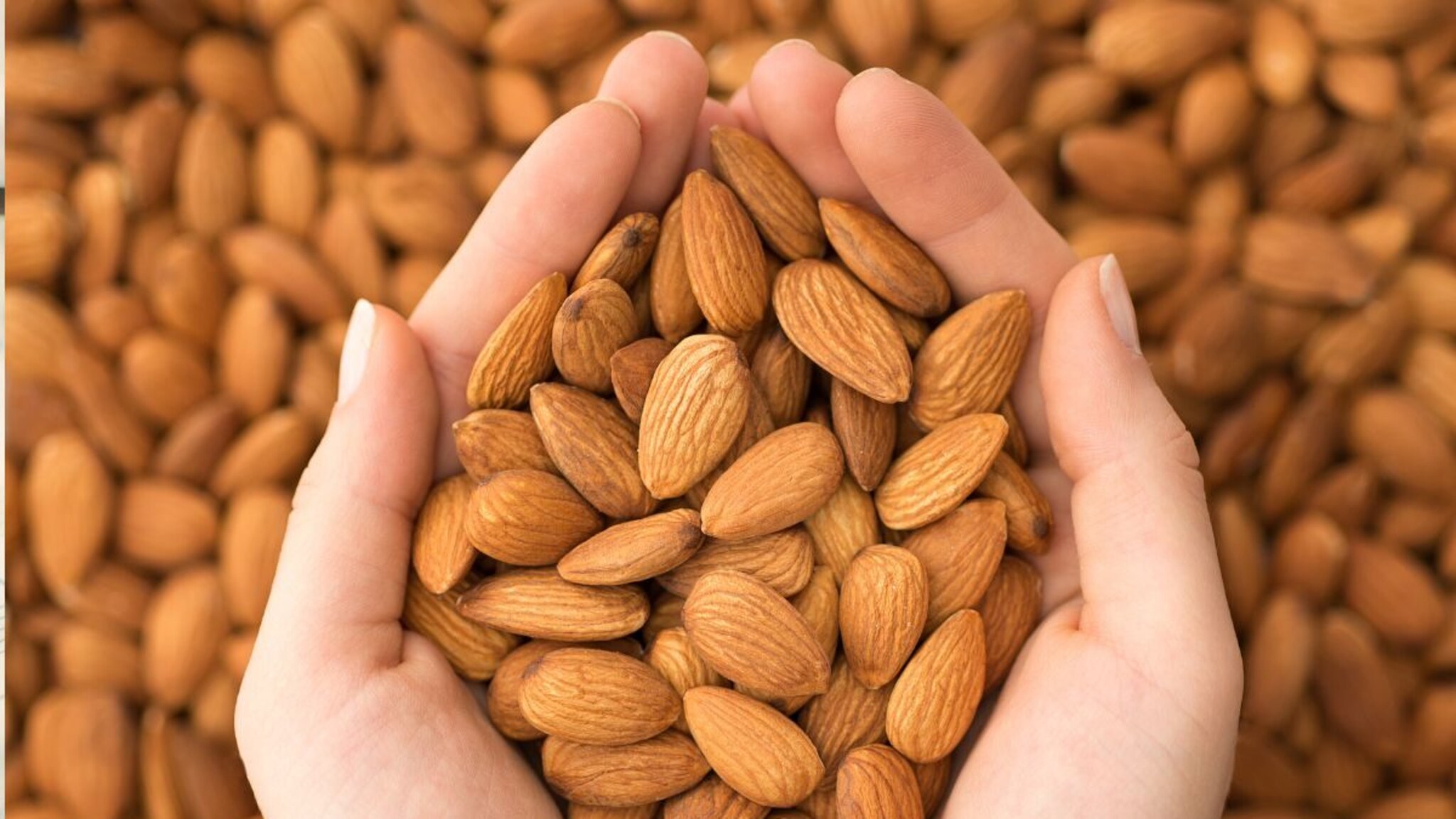 Almond benefits : बदाम खाल्ल्याने खरंच आपण हुशार होतो? सगळं काही लक्षात राहतं? संशोधनात समोर आलं सत्य