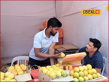 हापूस आंबा घेताना आता कुणीच फसवू शकणार नाही, देवगडच्या शेतकऱ्याने दिल्या टिप्स