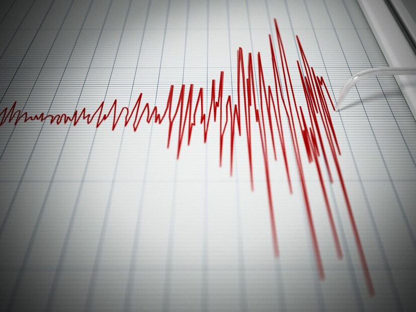 पृथ्वीच्या आत अशा काही हालचाली होतात ज्यामुळे धरतीमध्ये कंपन निर्माण होतं आणि भूकंप येतो, भूकंप कसा येतो याबाबत आपल्याला माहिती असलेली ही सामान्य माहिती. त्यामुळे कुणीतरी पार्टनरला आकर्षित करण्यासाठी भूकंप घडवून आणतो असं सांगितलं तर साहजिकच आश्चर्य वाटणार.