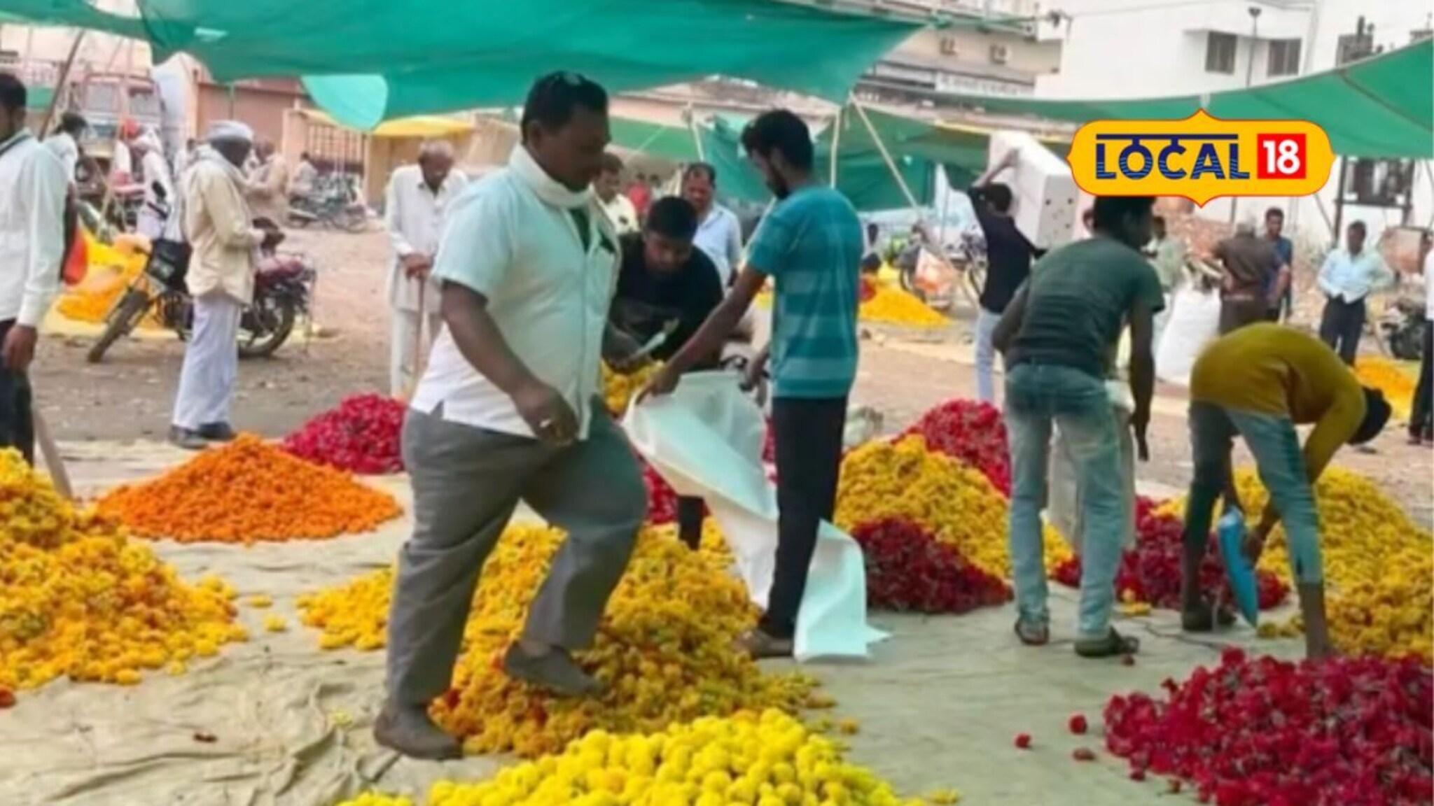 अवकाळीच्या संकटात फुलांचे दर गडगडले, आगामी काळात काय राहील स्थिती?