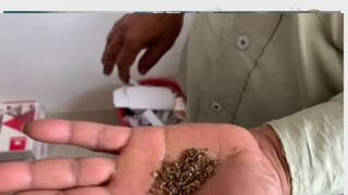 फाइल फोटो