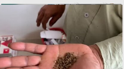 फाइल फोटो