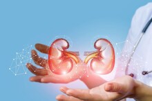 Kidney Stone : किडनी स्टोन होण्यापासून रोखा, आधीपासूनच घ्या तब्येतीची काळजी, या टिप्स लक्षात ठेवा