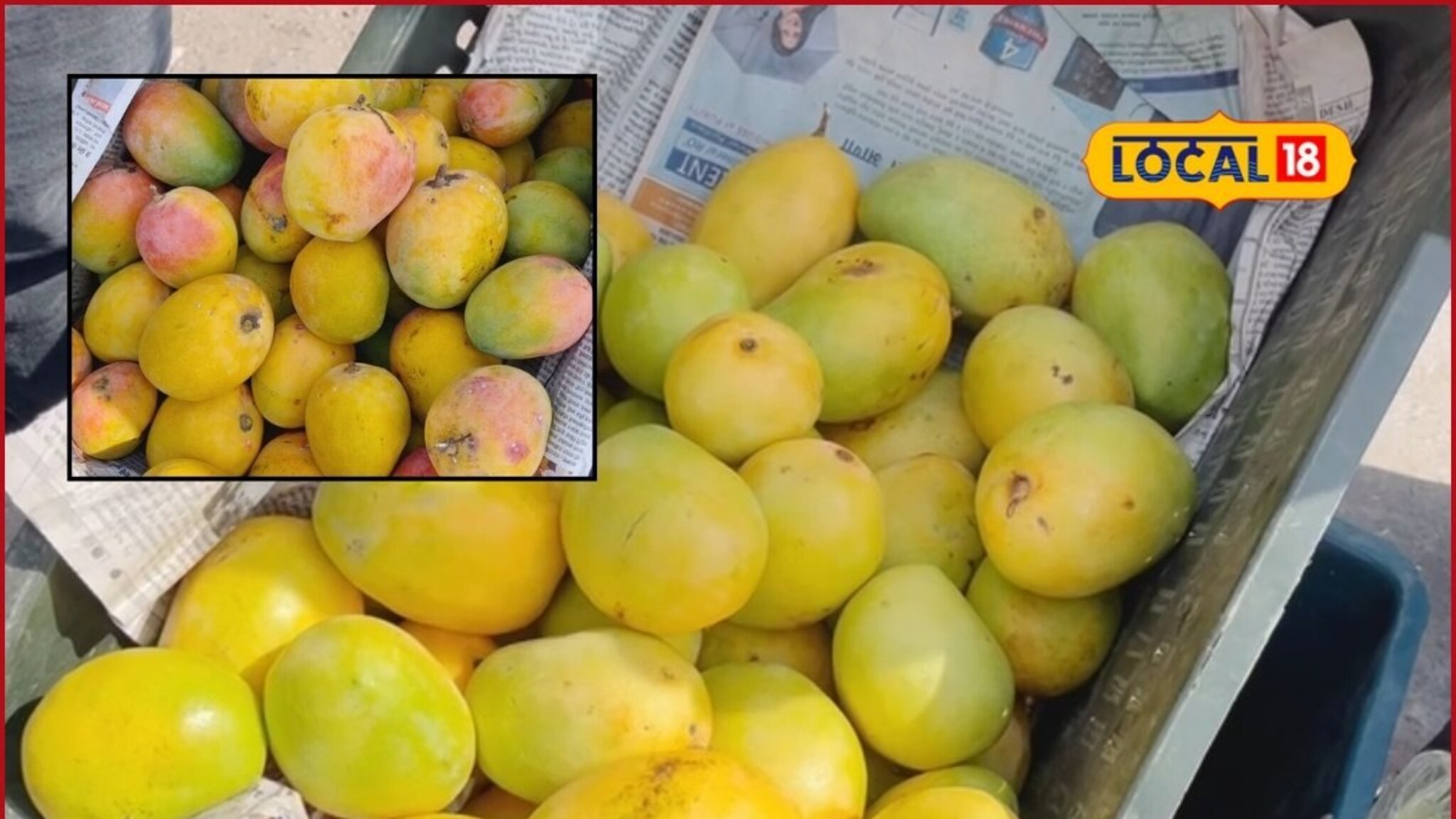 हापूसलाही मागे टाकले, भाव खातोय लंगडा, केसर; अक्षय तृतीयेला आंबा बाजारात उलटफेर