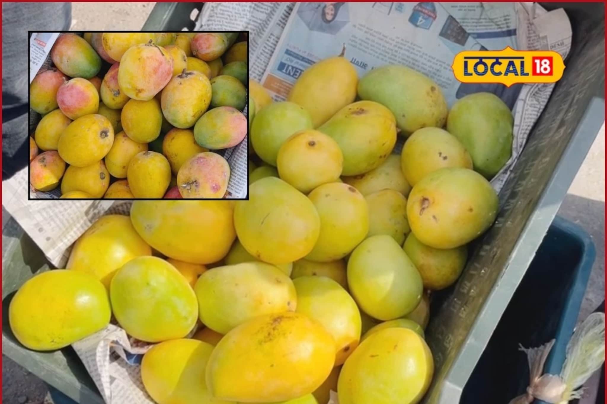 हापूसलाही मागे टाकले, भाव खातोय लंगडा, केसर; अक्षय तृतीयेला आंबा बाजारात उलटफेर