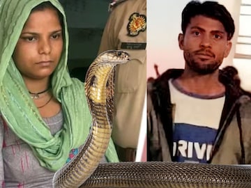 नवरा मेला पाहिजे म्हणून बायकोनं बेडखाली सोडला साप,कोब्राने 10 वेळा मारला दंश,पण.