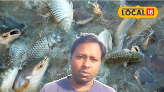 Fish farming story