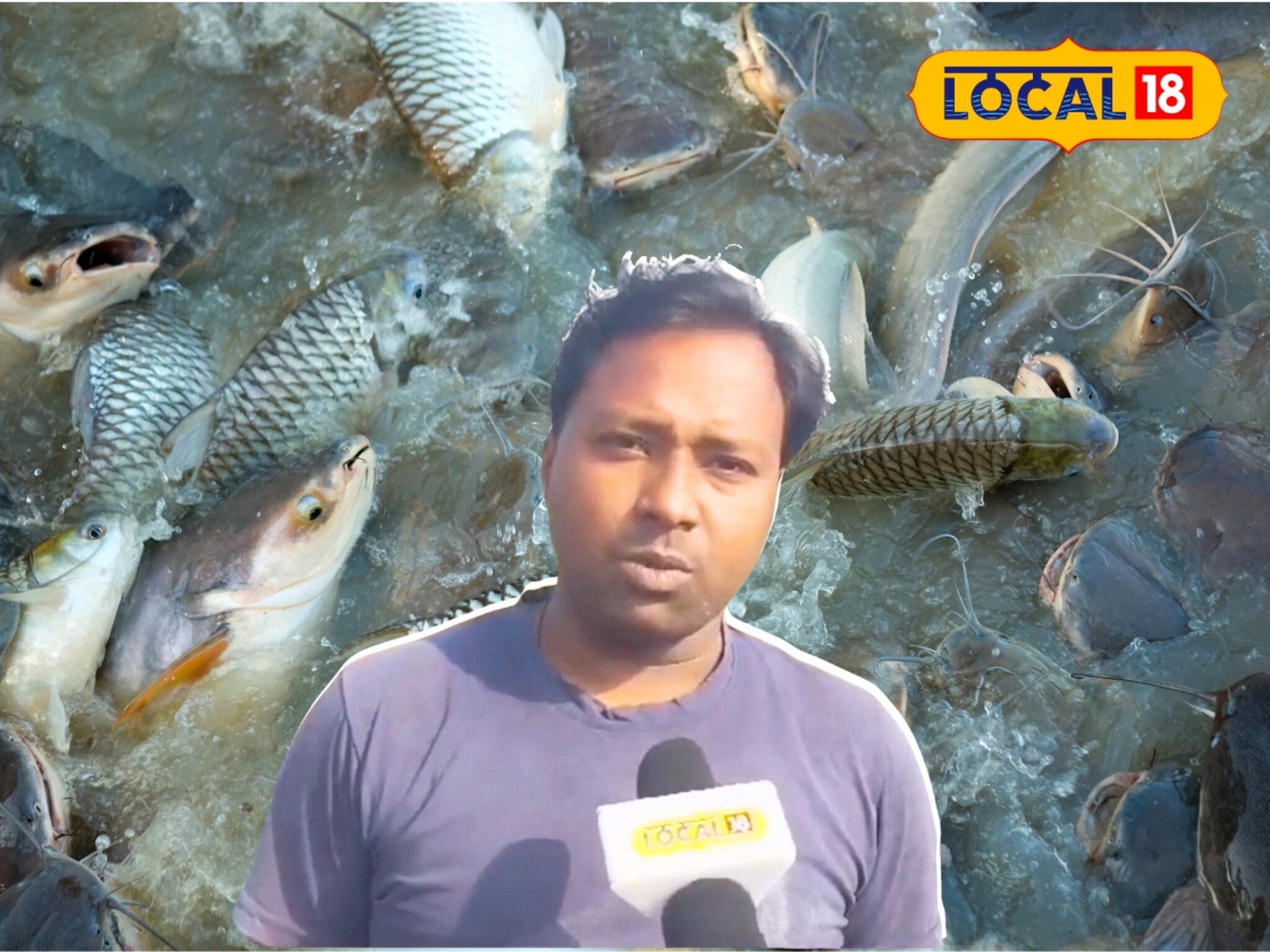 5 रुपयांचा मासा अन् 50000 रुपयांचा नफा, 'ही' बिझनेस आयडिया वापरून 'हा' तरुण होतोय मालामाल!