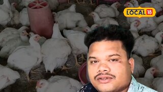 Chicken business success