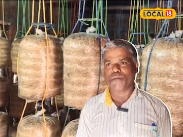 Mushroom farming Mushroom farming