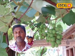 Grape farming in Chhattisgarh