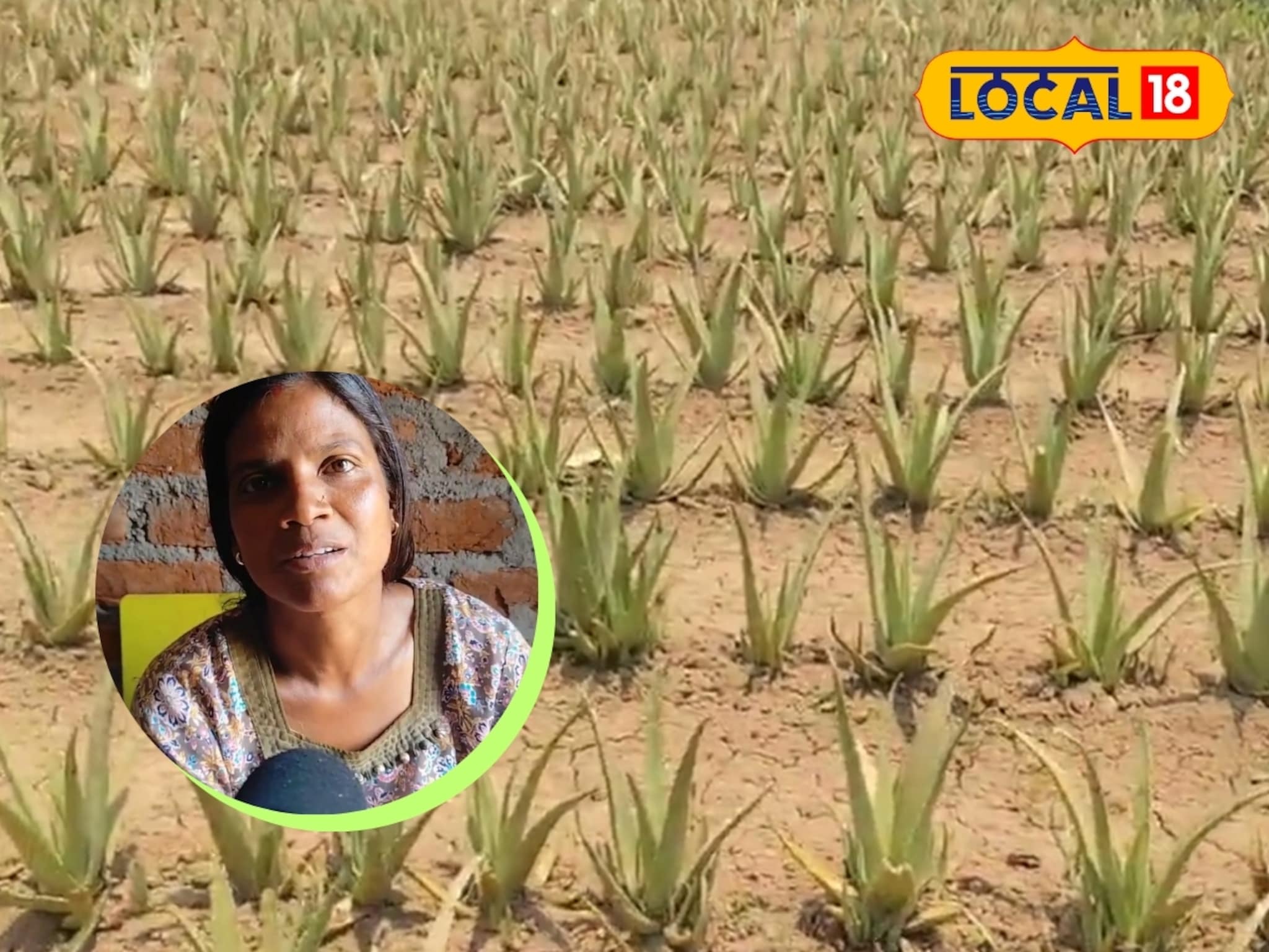 कोरफडीचे गाव! महिलांनी कष्टाने केली गरिबीवर मात. कमवताहेत हजारो रुपये; PM मोदींनीही केलं कौतुक