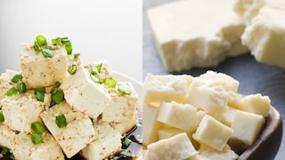 tofu vs paneer