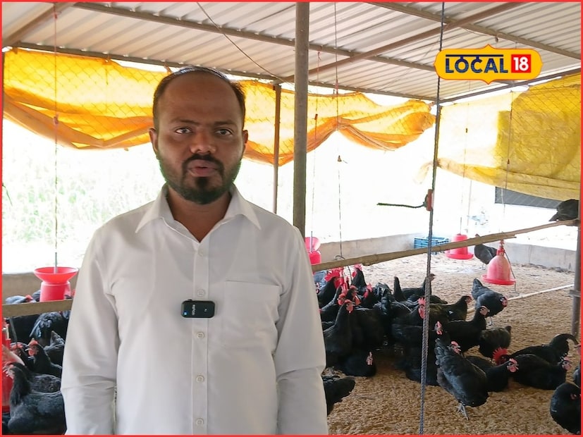 सध्याच्या काळात काही शेतकरी शेतीसोबतच शेतीपुरक व्यवसायातून देखील चांगली कमाई करत आहेत. सोलापूर जिल्ह्यातील कामती खुर्दचे शेतकरी अरुण शिंदे यांनी कुक्कुटपालन व्यवसाय सुरू केला. गेल्या 5 वर्षांपासून प्रोशक्ती ऍग्रो फार्ममध्ये ब्लॅक ओस्ट्रॉलोर्प या कोंबड्या त्यांनी पाळल्या आहेत.