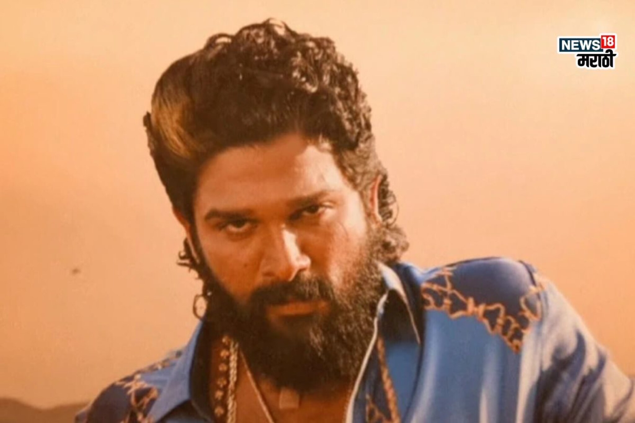 थिएटर, ओटीटीनंतर आता 'पुष्पा 2' टीव्हीवर येणार, सिनेमा कधी आणि कुठे पाहता येणार?