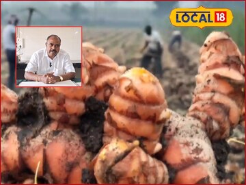 Turmeric