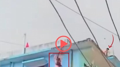 व्हायरल व्हिडीओ