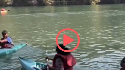 व्हायरल व्हिडीओ व्हायरल व्हिडीओ