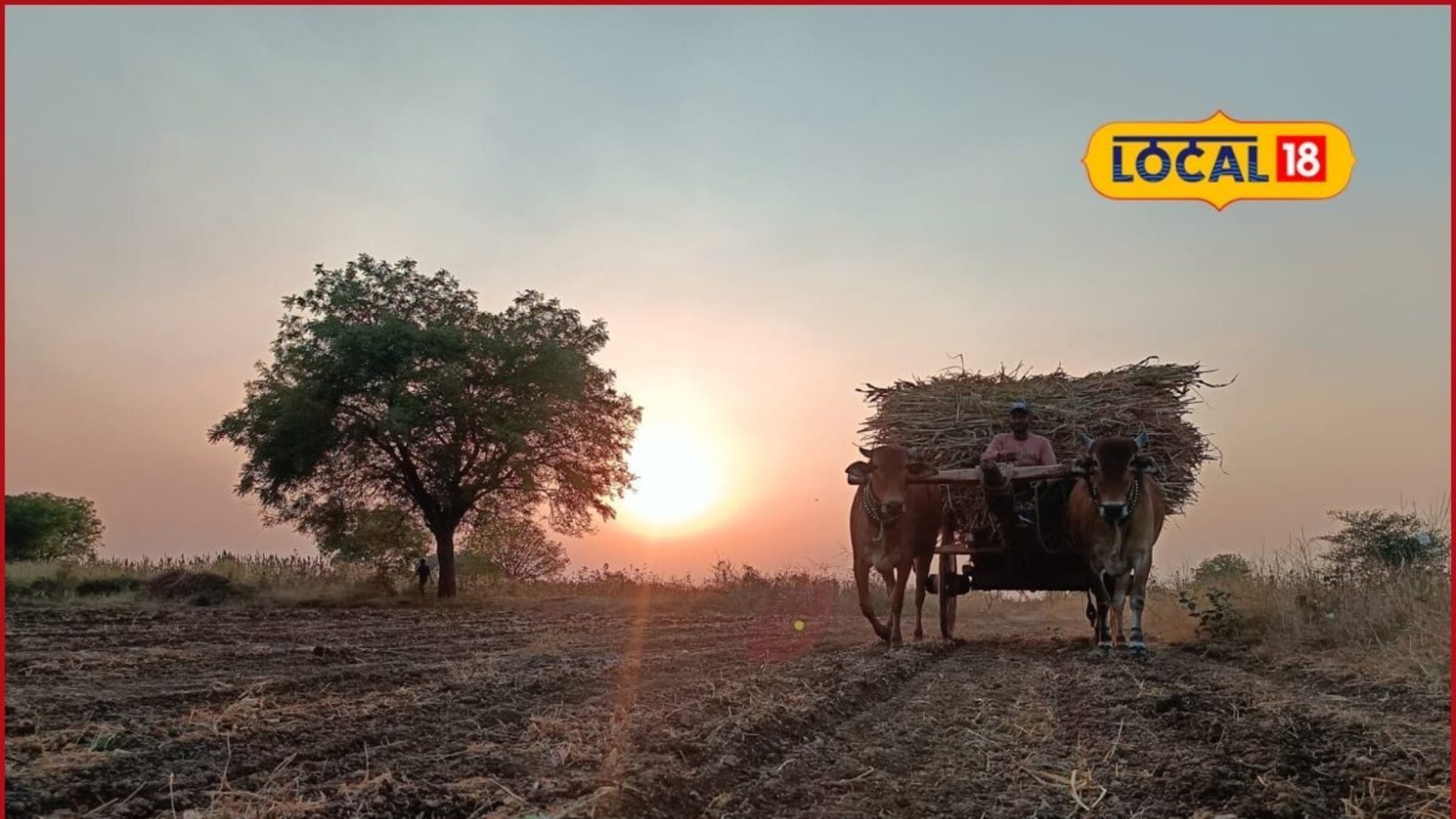 Marathwada Weather : मराठवाड्यात उष्णतेचा कडाका कायम, छत्रपती संभाजीनगरमध्ये उन्हाचा पारा चढला, पाहा आजचं हवामान