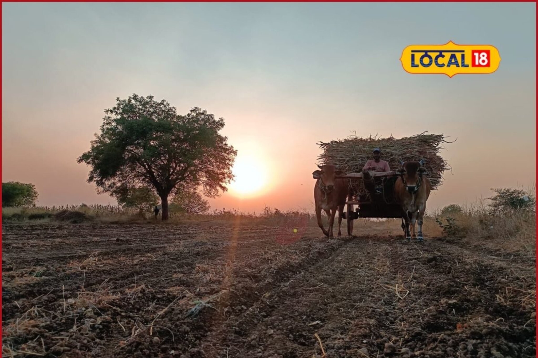 Marathwada Weather : मराठवाड्यात उष्णतेचा कडाका कायम, छत्रपती संभाजीनगरमध्ये उन्हाचा पारा चढला, पाहा आजचं हवामान