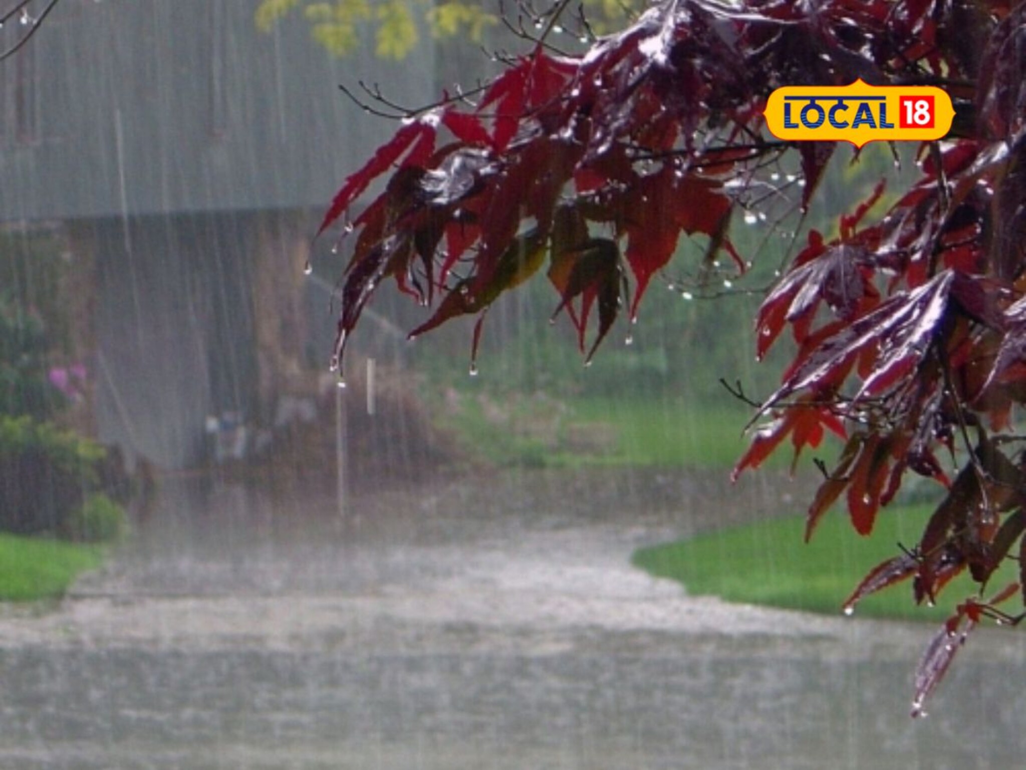 Weather Alert: मे महिना तापणार पण महाराष्ट्रात इथं पाऊस पडणार!