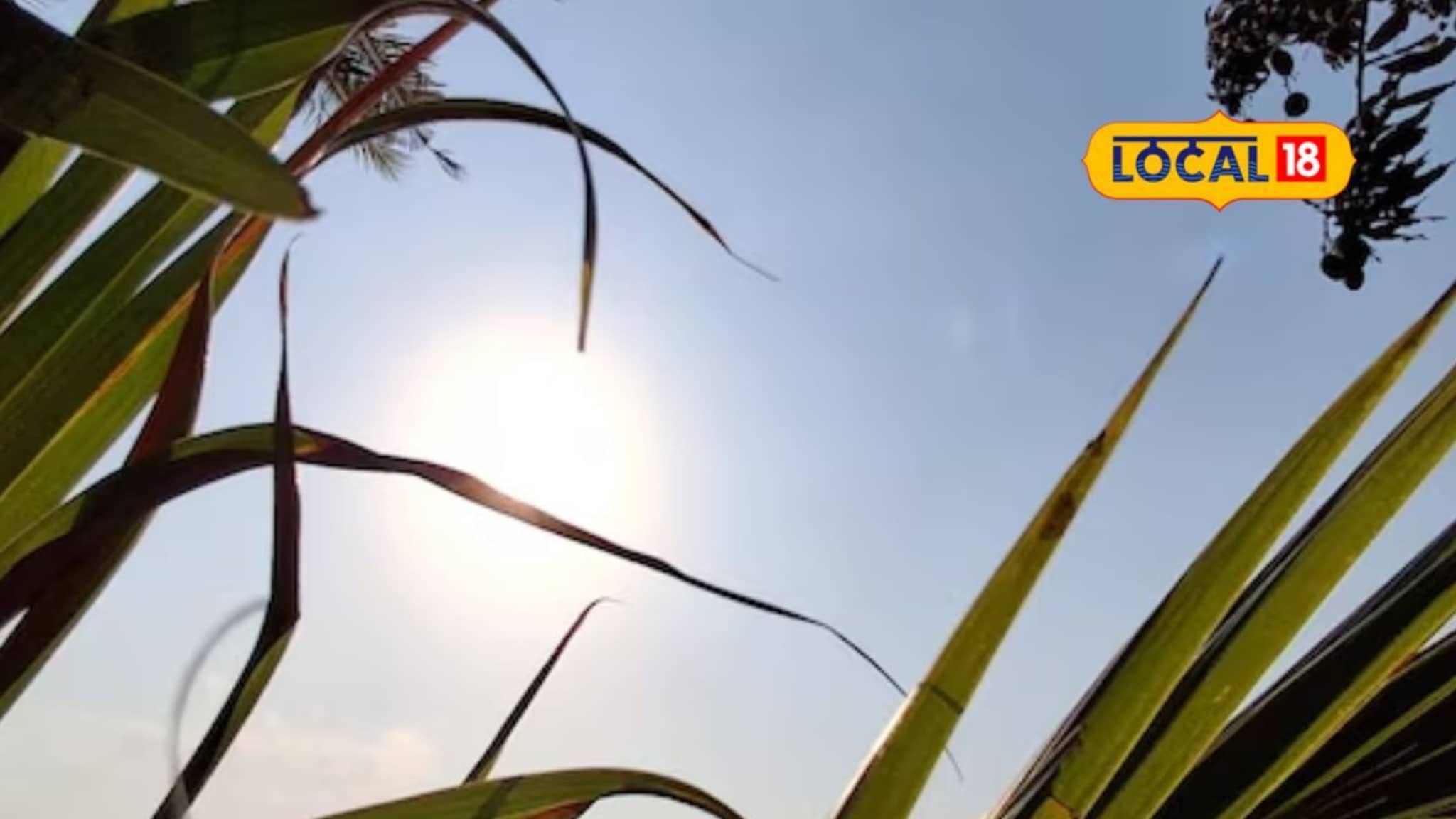 Weather Alert : मराठवाडा आणखी तापणार, या जिल्ह्यांत पारा चढणार, हवामान विभागाचा अलर्ट